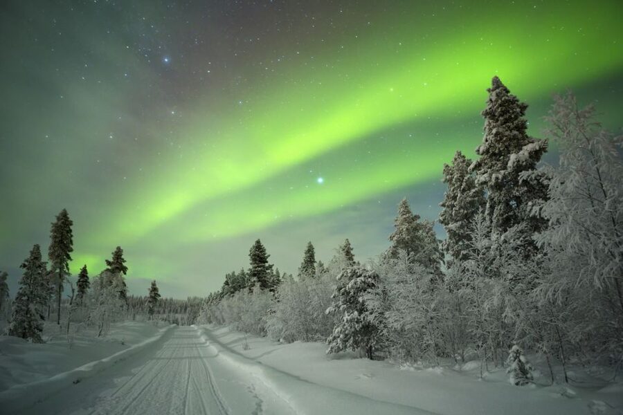 Rovaniemi: Aurora Borealis Snowmobile Safari with Campfire - Rovaniemi at Midnight: What This 4-Hour Aurora Safari Really Means