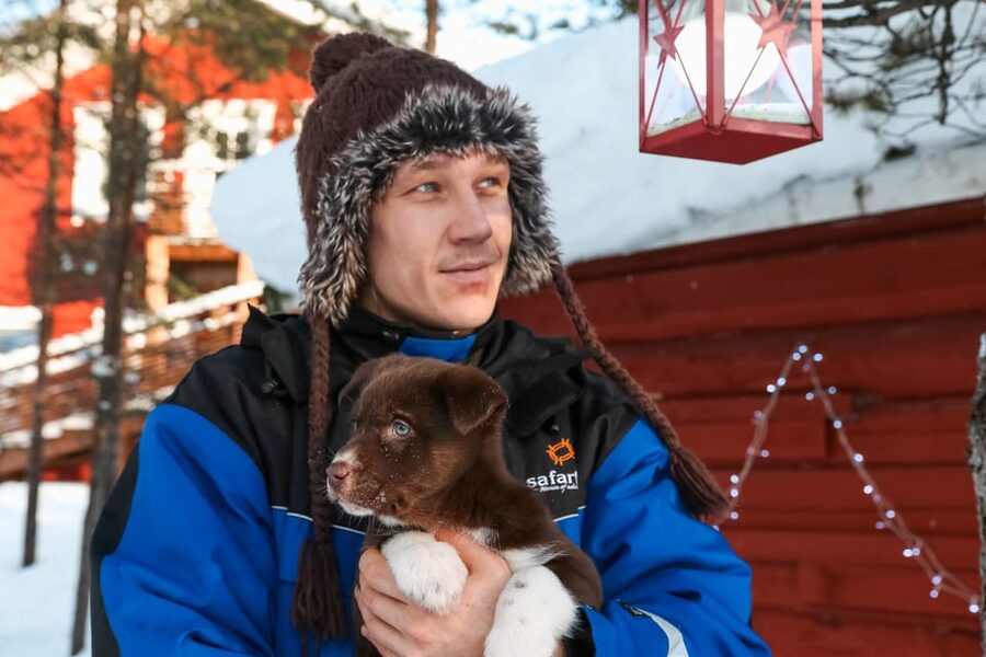 Rovaniemi: Daytime Husky Safari - Key Things That Make This Rovaniemi Husky Safari Work