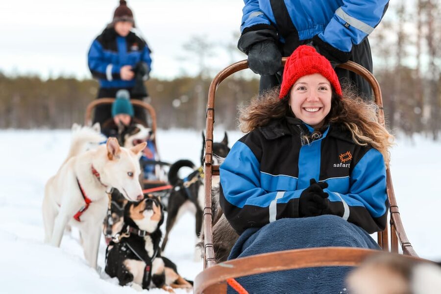 Rovaniemi: Daytime Husky Safari - The 5 km Husky Ride: Forest Quiet, Frozen Water, and Real Speed