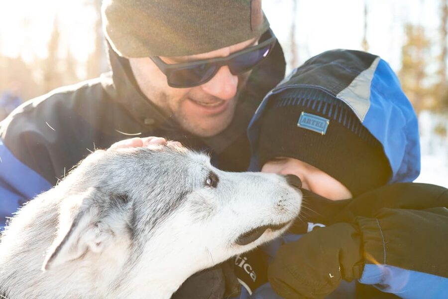 Rovaniemi: Daytime Husky Safari - Price and Value: What $209 Buys in Real Lapland Time