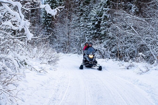 Rovaniemi: Drive New 2025 Snowmobiles on Arctic Safari & BBQ - Fire Pit Break and BBQ: The Warm-Up Part That People Remember