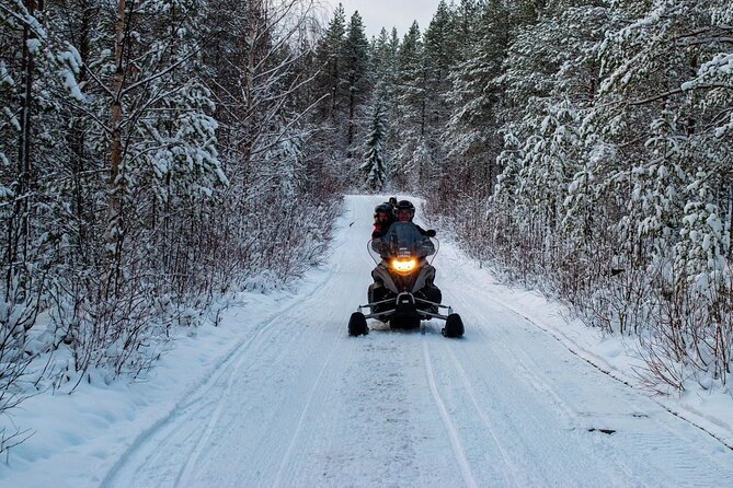 Rovaniemi: Drive New 2025 Snowmobiles on Arctic Safari & BBQ - Gear up right: helmets, thermal overalls, and a real safety briefing