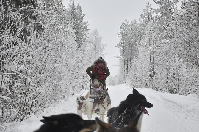 Rovaniemi: Drive Your Own Husky Team (6–10 km) & BBQ - Cold-weather prep: the difference between fun and misery