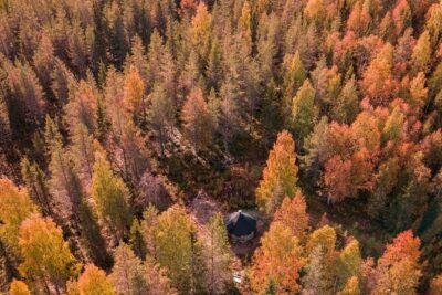Rovaniemi: Drive Your Own Husky Team (Autumn) & BBQ - Secluded Husky Farm Time: Staff, Dogs, and Learning Moments