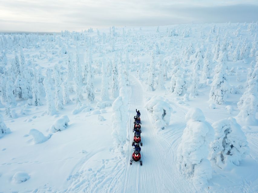 Rovaniemi: Full-Day Snowmobile Safari into the Wilderness - Key things that make this safari work