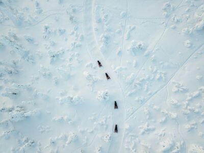 Rovaniemi: Full-Day Snowmobile Safari into the Wilderness - Gear, warm clothing, and what to bring before you show up