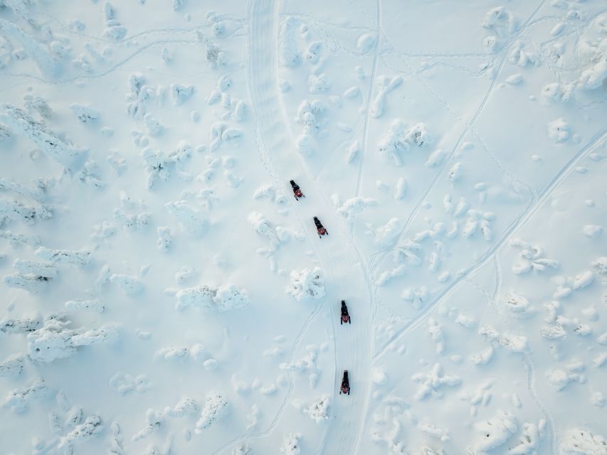 Rovaniemi: Full-Day Snowmobile Safari into the Wilderness - Gear, warm clothing, and what to bring before you show up