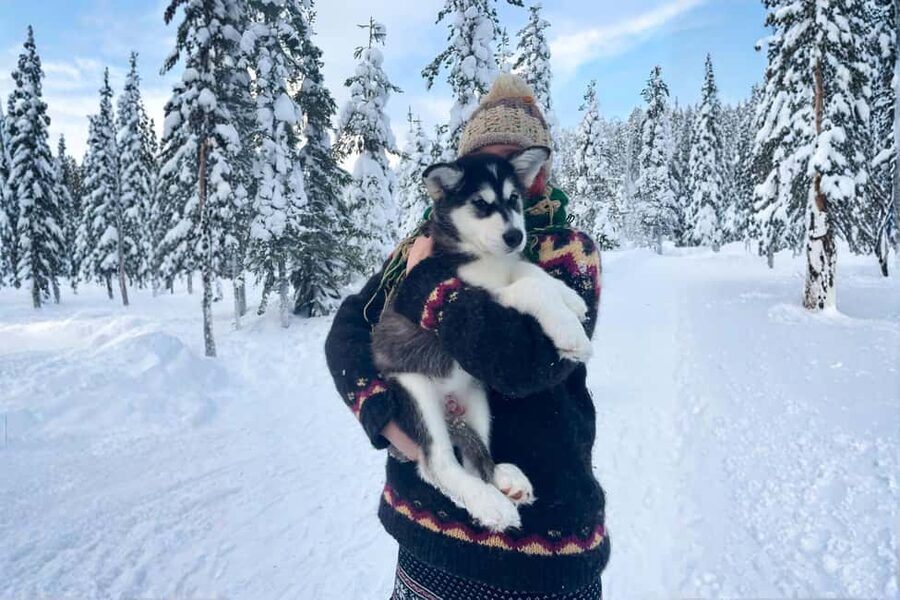 Rovaniemi: Husky Safari & Campfire BBQ – 6‑10 km Self‑Drive - Guides Matter: Why Names Like Arsene, Nora, and Mariarita Show Up