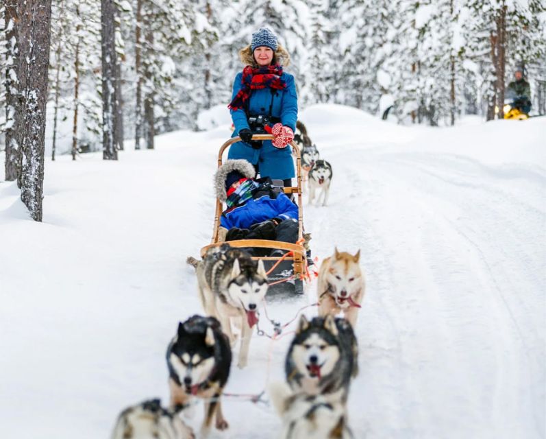 Rovaniemi: Husky Safari on a Snowy Trail - Snowmobile Driving: A Second Arctic Skill to Take Home