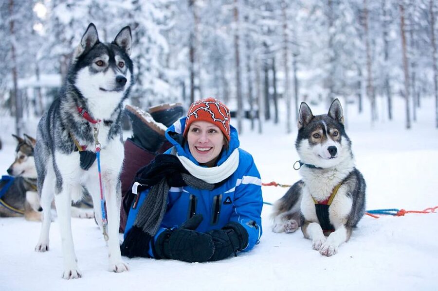 Rovaniemi: Husky Safari on a Snowy Trail - Price and Value: Is $269 Worth It?