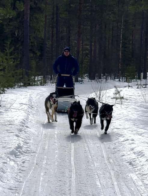 Rovaniemi: Husky Safari with Transfers & BBQ - Dress code that keeps you comfortable (and makes photos easier)