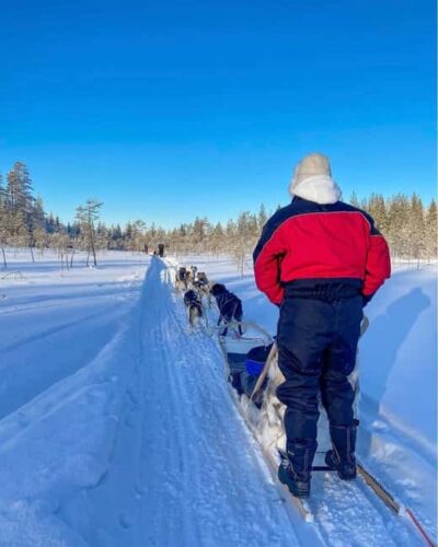Rovaniemi: Husky Safari with Transfers & BBQ - Getting to the husky farm: Napapiiri or Rovaniemi pickup