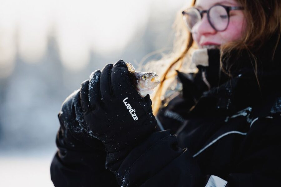 Rovaniemi: Ice Fishing & Snowmobile Safari Combo Day - Safety and liability: the part nobody wants to think about, but you should