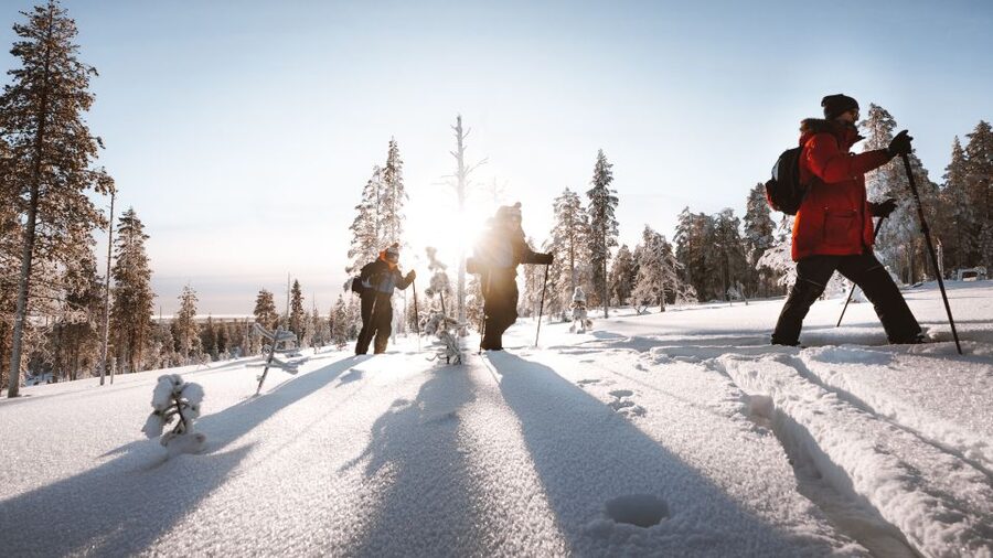Rovaniemi: Lapland Ski Trekking Safari - Key Highlights You’ll Actually Care About