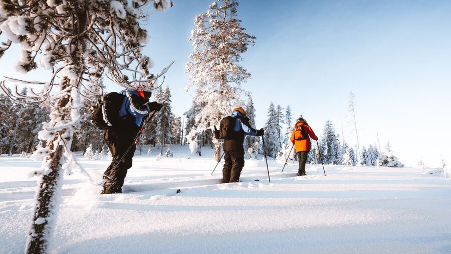 Rovaniemi: Lapland Ski Trekking Safari - FAQ