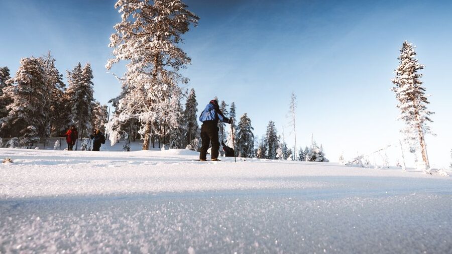 Rovaniemi: Lapland Ski Trekking Safari - From Rovaniemi Into the Taiga on Back-Country Skis