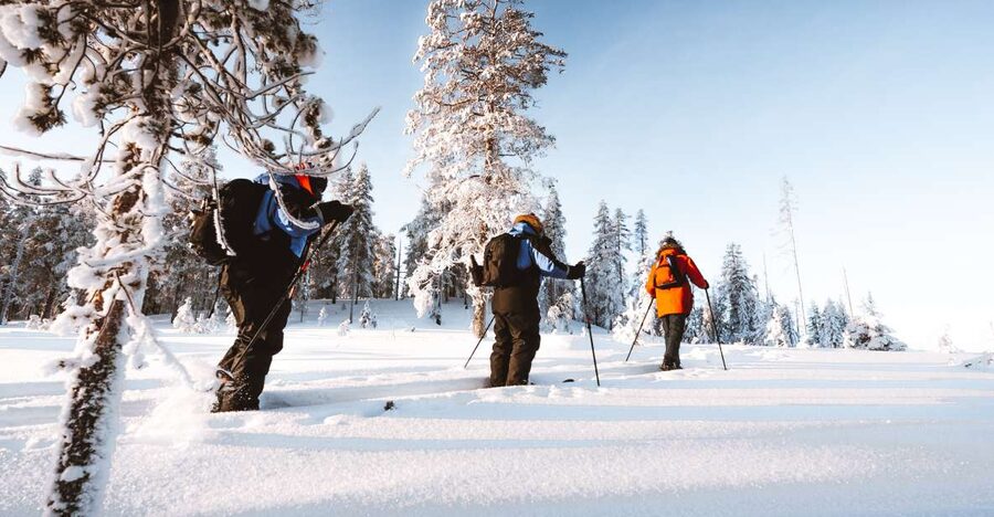 Rovaniemi: Lapland Ski Trekking Safari - What to Pack and Wear for a Comfortable Ski Day