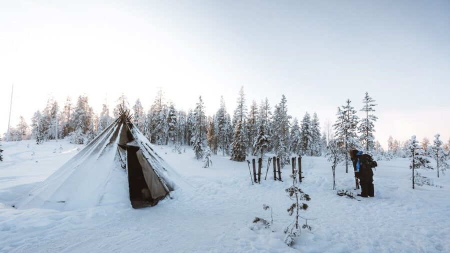 Rovaniemi: Lapland Ski Trekking Safari - Should You Book This Ski Trekking Safari?