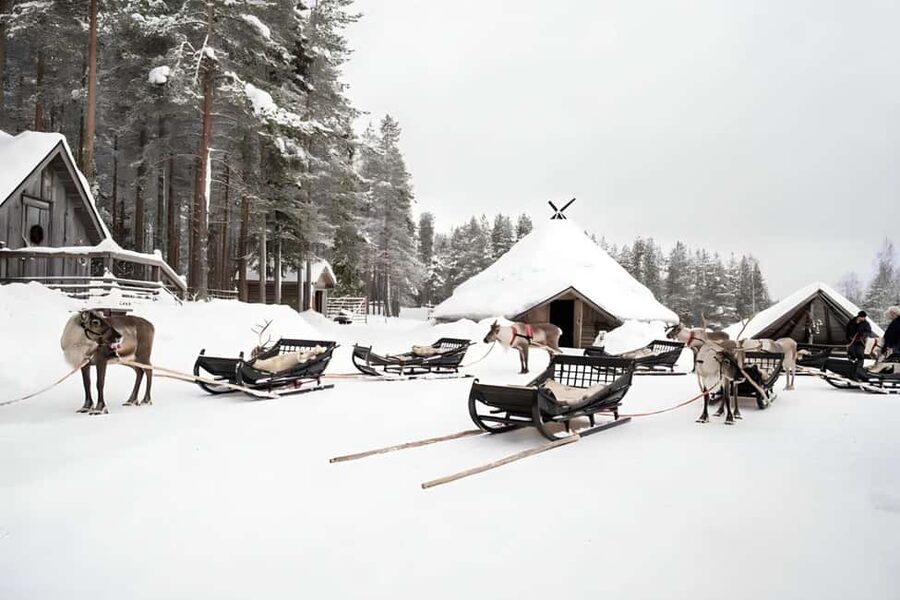 Rovaniemi: Reindeer Safari at 200-Year-Old Farm & Sled Ride - Who this reindeer safari suits best (and who might want something else)