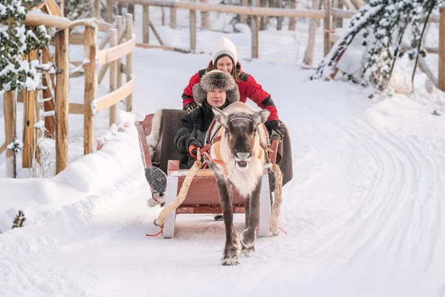 Rovaniemi: Reindeer Safari at 200-Year-Old Farm & Sled Ride - Rovaniemi reindeer safari: a 200-year farm experience that feels alive