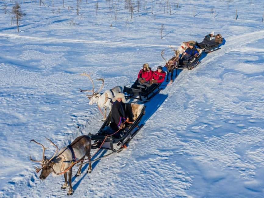 Rovaniemi: Reindeer Safari at 200-Year-Old Farm & Sled Ride - The 2.5 km traditional reindeer sled ride: long enough to feel real