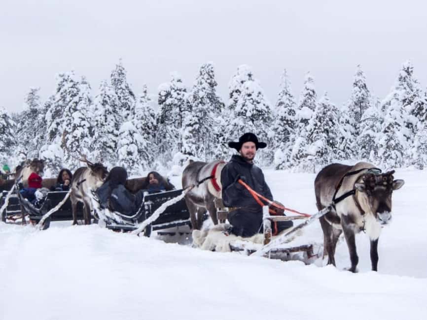 Rovaniemi: Reindeer Safari at 200-Year-Old Farm & Sled Ride - Price and value: what $211 buys you in the real world