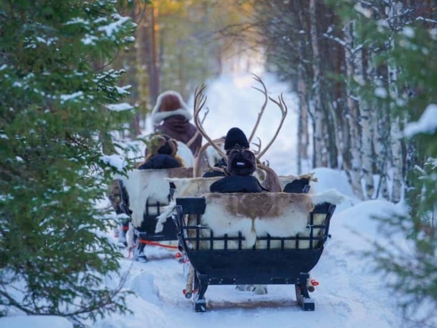 Rovaniemi: Reindeer Safari at 200-Year-Old Farm & Sled Ride - Timing reality check: 3 hours on the clock, not all on the farm