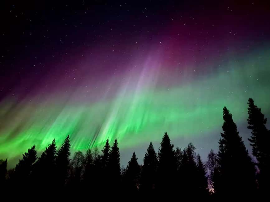 Rovaniemi: Santa's Reindeer and Husky Safari with Aurora BBQ - Free time after the morning: using your drop-off option