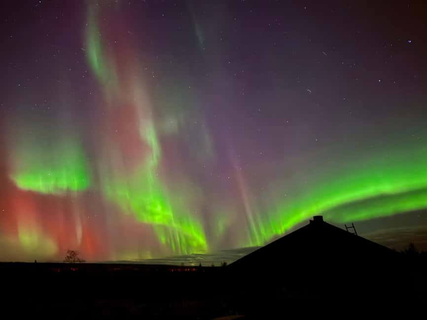 Rovaniemi: Santa's Reindeer and Husky Safari with Aurora BBQ - Value for $281: what you actually get for your money