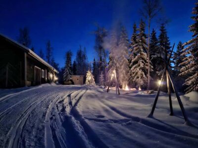 Rovaniemi:Self-drive Husky safari with a Reindeer Farm visit - Reindeer farm access that feels truly remote