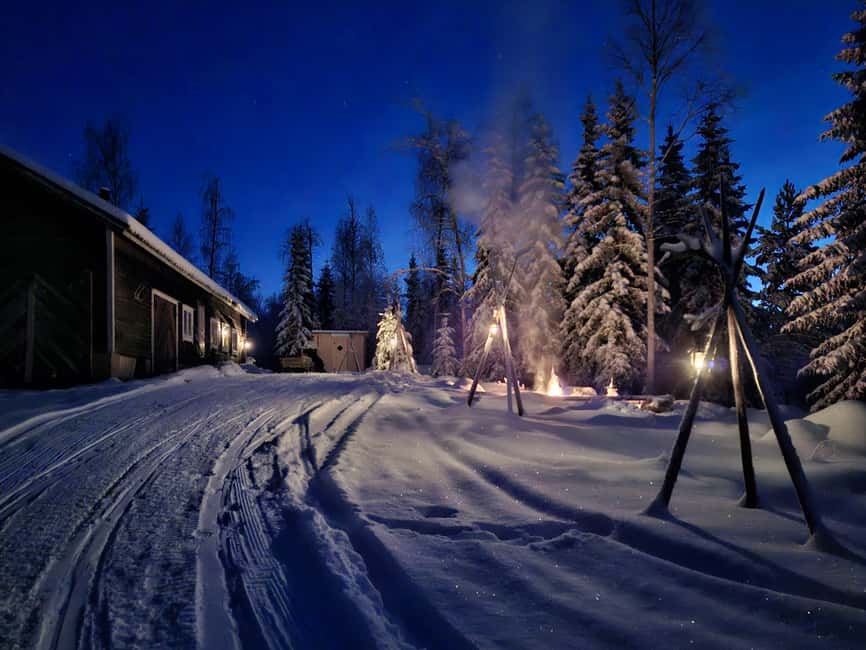 Rovaniemi:Self-drive Husky safari with a Reindeer Farm visit - Reindeer farm access that feels truly remote
