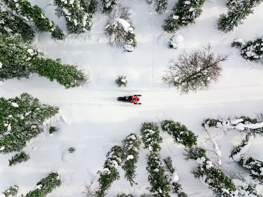 Rovaniemi: Snowmobile Safari Adventure - Key Things I’d Prioritize Before You Book