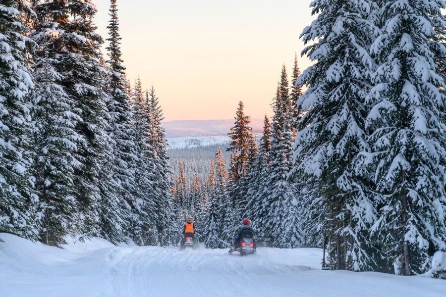Rovaniemi: Snowmobile Safari Adventure - The Ride Plan: Forest Lines, Frozen Water, and Real Stopping Points