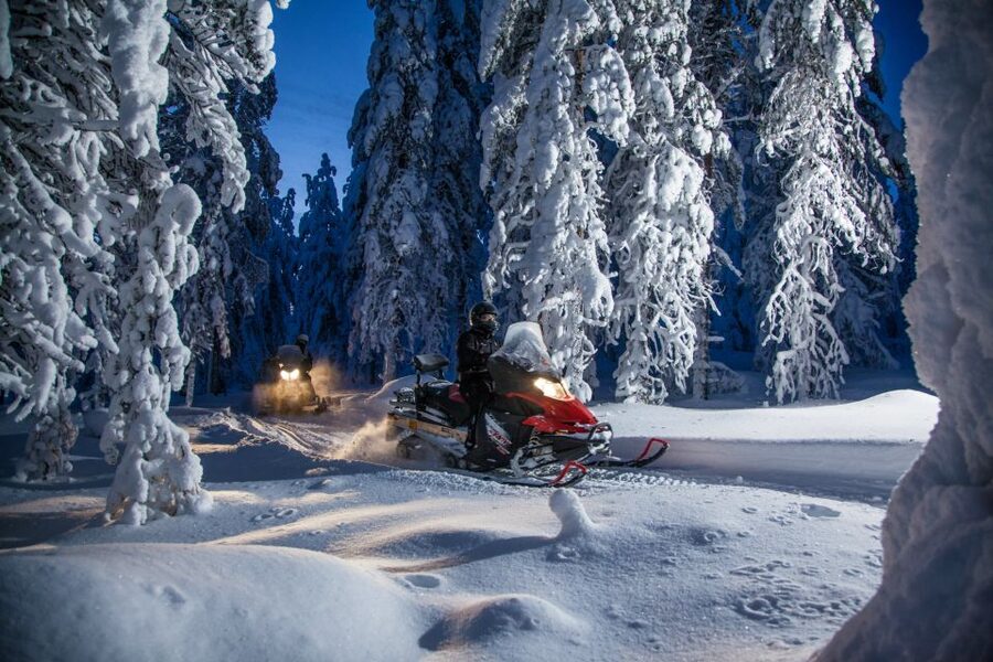 Rovaniemi: Snowmobile Safari & Campfire Evening Escape - Key Points You’ll Care About