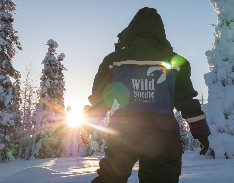 Rovaniemi: Snowmobile Safari into the Arctic Circle Forest - Key things to know before you go
