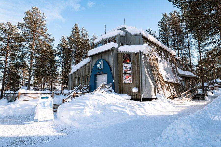 Rovaniemi: Snowmobile Safari into the Arctic Circle Forest - What the actual route feels like: forest turns, photo stops, and control