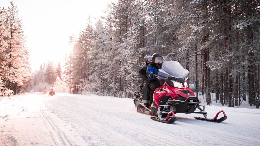 Rovaniemi: Snowmobile Safari into the Arctic Circle Forest - Wild Nordic Safari Centre: the easiest base near Santa Claus Village
