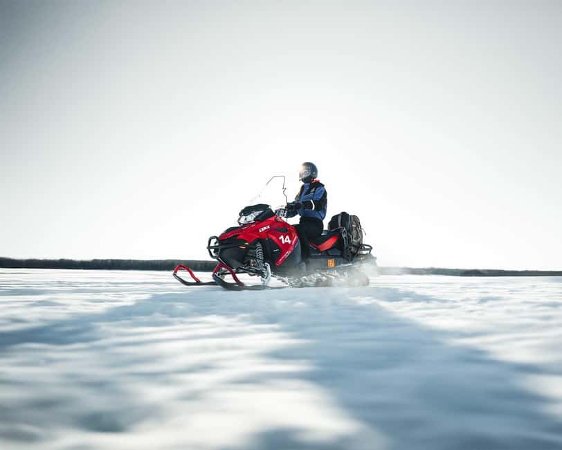 Rovaniemi: Snowmobile Safari into the Wilderness - Pine forests, frozen marshlands, and the “make it real” stops