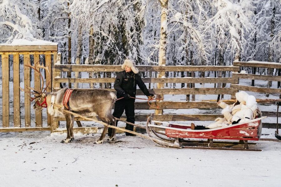 Rovaniemi: Snowmobile Safari, Reindeer & Husky Sleigh Ride - Price and Value for $281 in Lapland