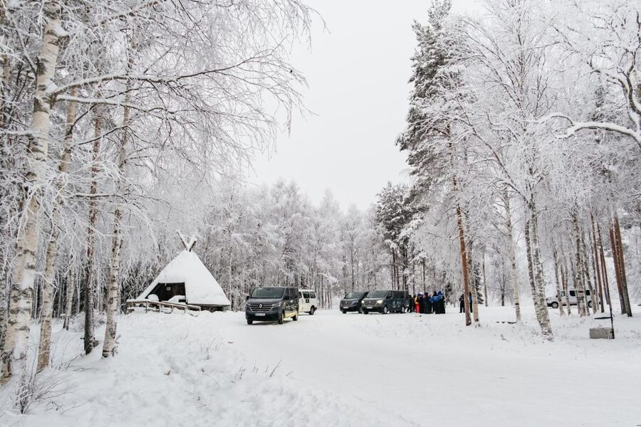 Rovaniemi: Snowmobile Safari, Reindeer & Husky Sleigh Ride - Reindeer Herding and the Sleigh Ride With a Certificate