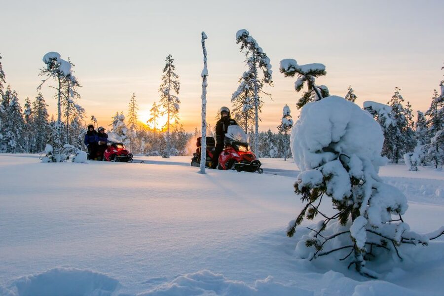 Rovaniemi: Snowmobile Safari to a Reindeer Farm - Key points to know before you go