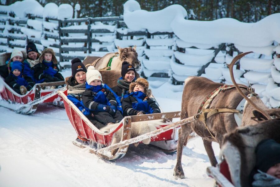 Rovaniemi: Snowmobile Safari to a Reindeer Farm - Who should book this safari (and who should pause)