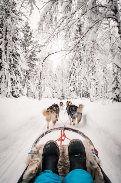 Ruka: 5km Husky Safari with Snacks and Campfire - Campfire sausages: the easy winter meal that ties it together