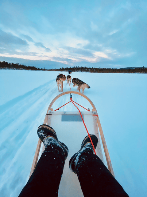 Saariselkä: 10KM Husky Safari with kennel visit - Husky Driving 10 km: The thrill part you actually control
