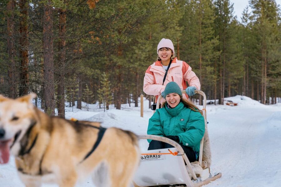 Saariselkä: 10KM Husky Safari with kennel visit - Safety briefing first: how they set you up to steer