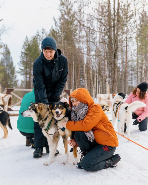 Saariselkä: 10KM Husky Safari with kennel visit - The sled ride on the 10 km track: speed, rhythm, and real winter air