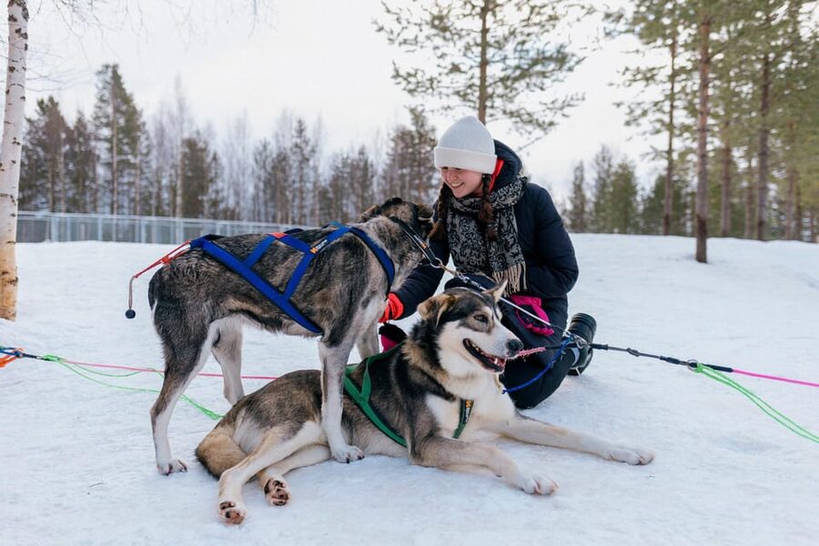 Saariselkä: 10KM Husky Safari with kennel visit - Warm drinks in a kota: why this break matters