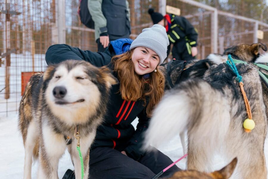 Saariselkä: 10KM Husky Safari with kennel visit - Groups, pacing, and the value question (is $234 worth it?)
