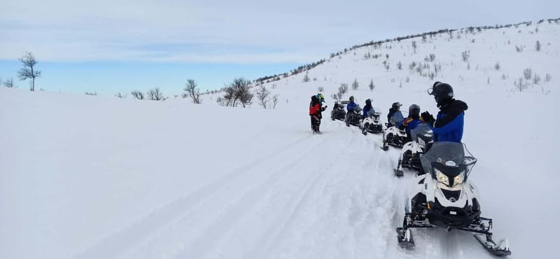 Saariselka: Snowmobile Safari on Tundra with BBQ - Price and value: does $175 make sense?