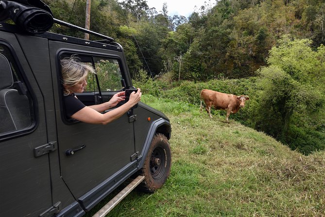 Safari 4x4 Pico Arieiro Santana in Small Group "FlowerEAST" - Guides on Board: How the Commentary Shapes the Day
